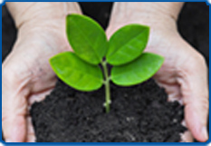 NitroFill Plant-a-Tree
